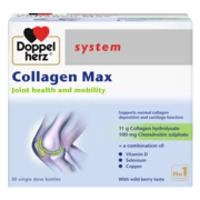 Doppelherz system Collagen Max front view